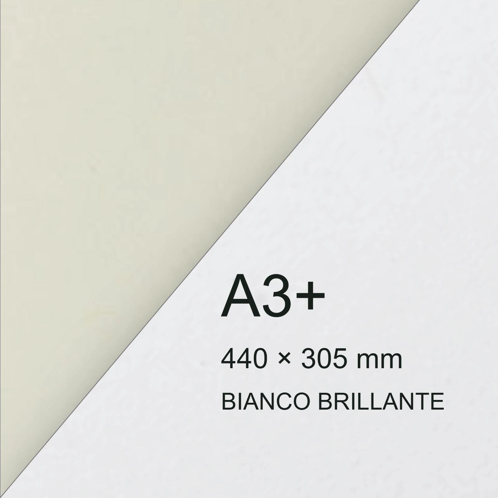 Cartoncino Favini, Shiro Echo, 140 g/m², A3+, BIANCO BRILLANTE bra6579a3+ - immagine aggiuntiva