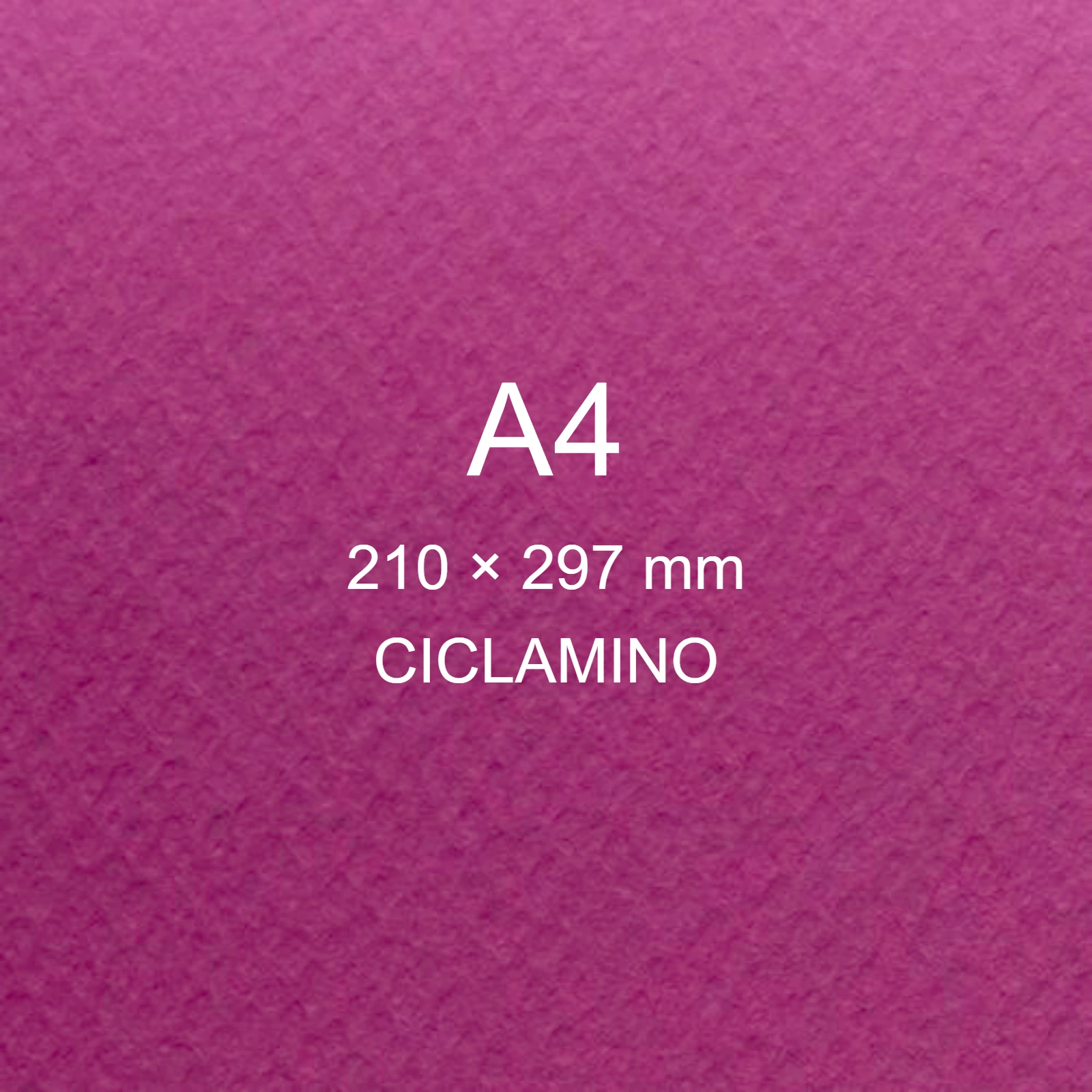 Cartoncino Favini, Prisma Plastificato, 250 g/m², A4, CICLAMINO bra1313 - immagine aggiuntiva