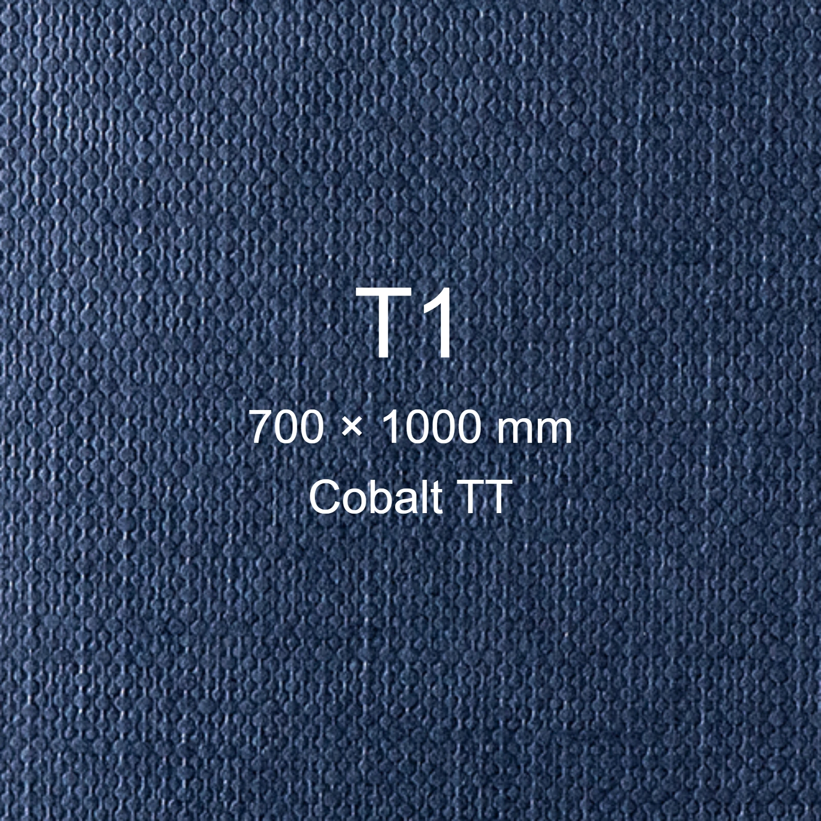 Cartoncino Favini, Classy Covers, 120 g/m², T1, COBALT TT bra6624t1 - immagine aggiuntiva