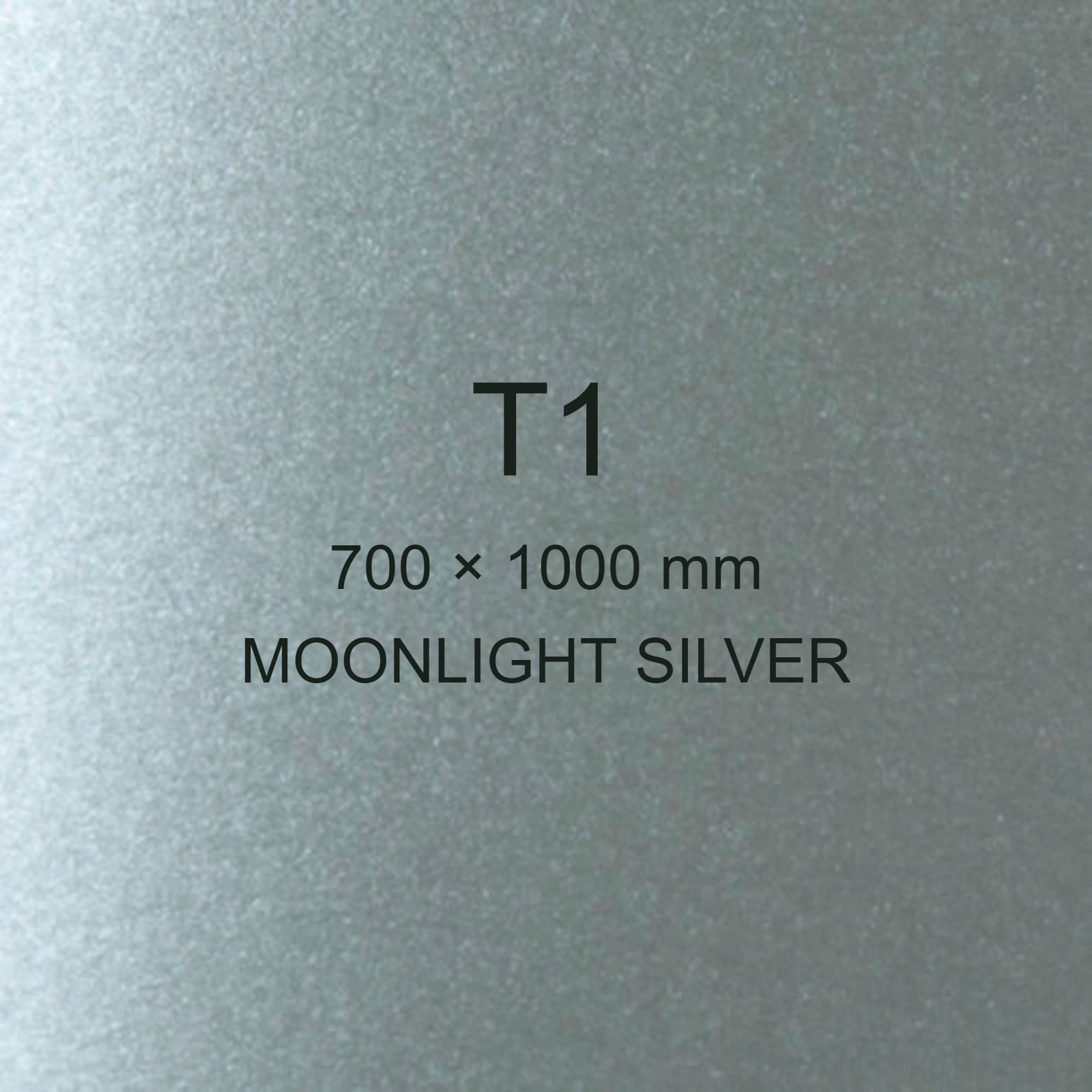 Cartoncino Favini, Majestic Classic, 290 g/m², T1, MOONLIGHT SILVER bra754t1 - immagine aggiuntiva