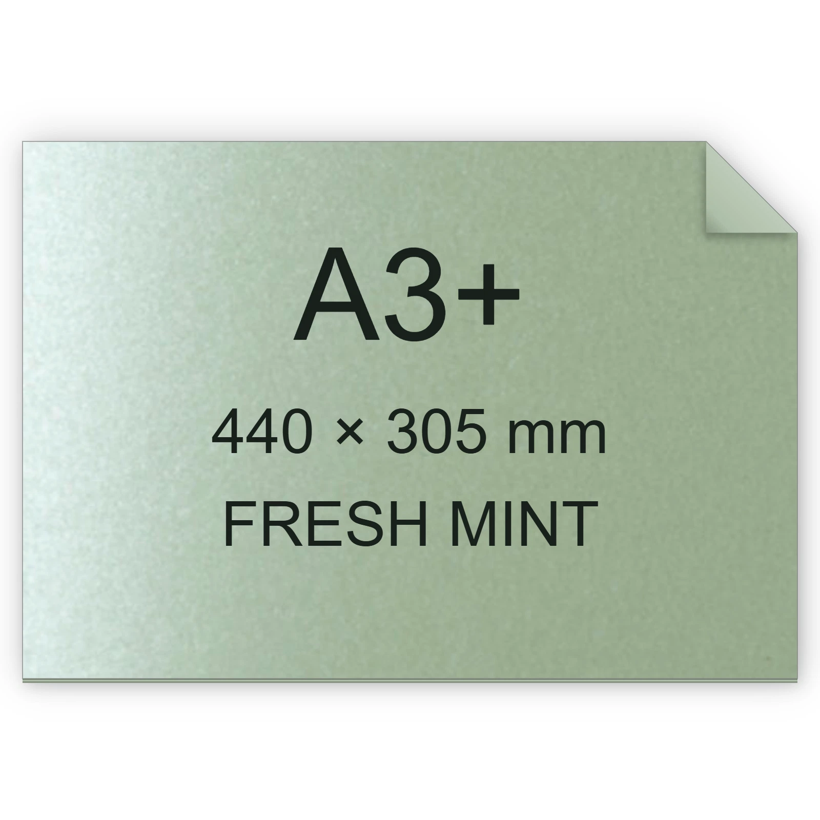 Cartoncino Favini, Majestic Classic, 290 g/m², A3+, FRESH MINT bra752a3+