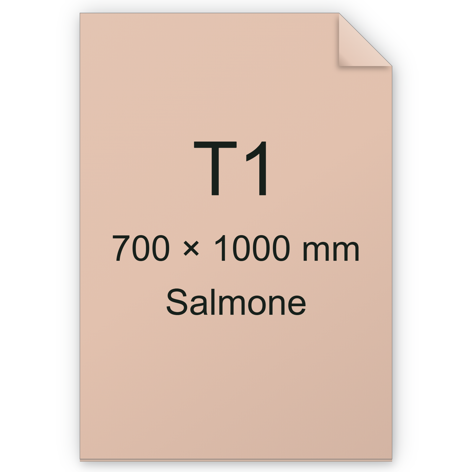 Cartoncino Favini, Burano, 200 g/m², T1, SALMONE 05 BRA828t1