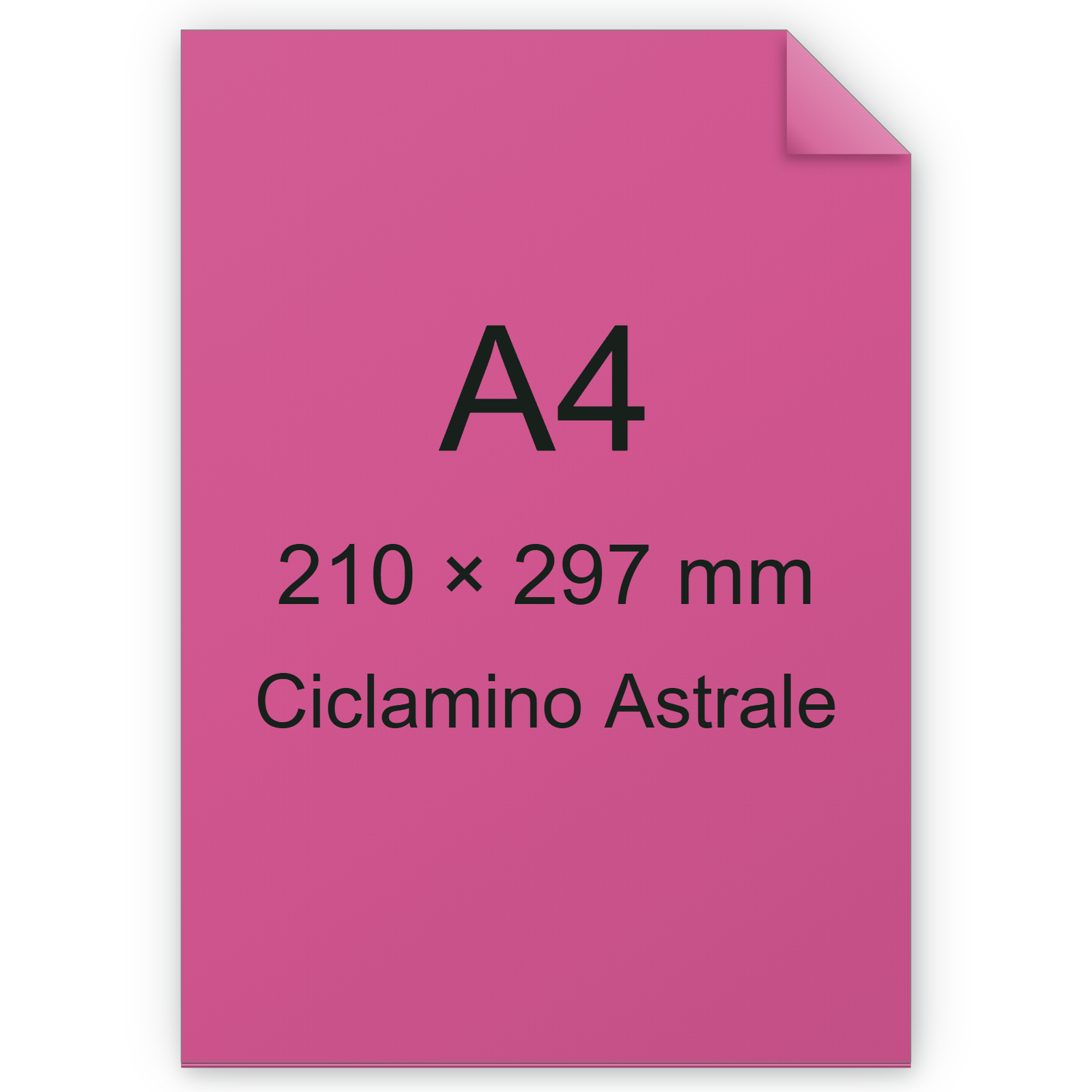 Cartoncino Favini, Burano, 200 g/m², A4, CICLAMINO ASTRALE 58 bra584