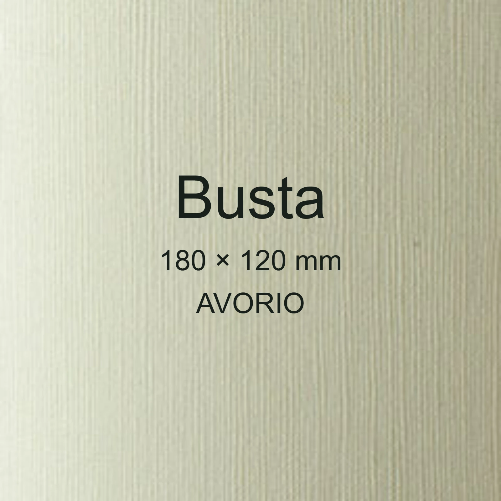 Buste Calligraphy Lino 120, AVORIO 02 FAVA57Q617 - immagine aggiuntiva