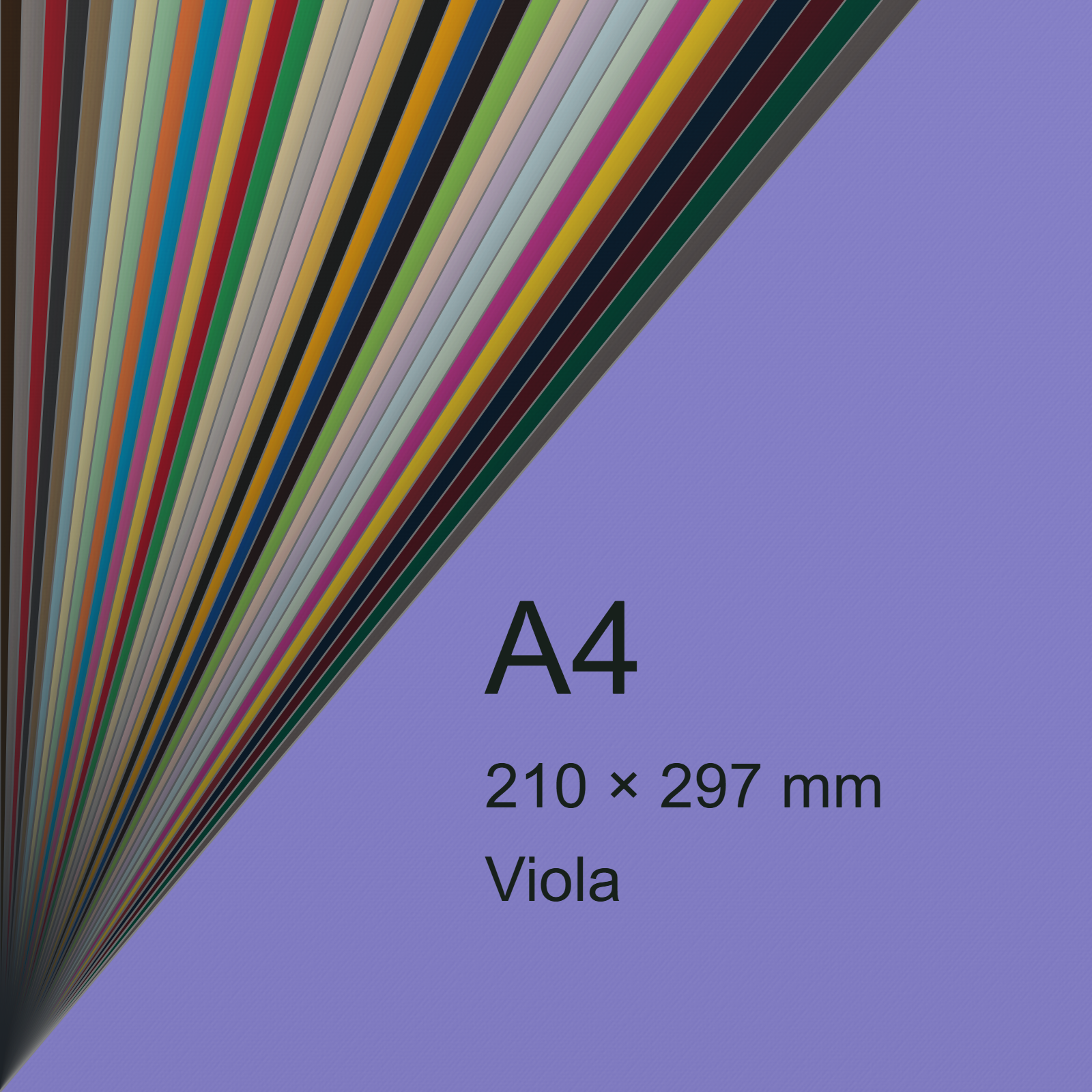 Cartoncino Favini, Burano, 200 g/m², A4, VIOLA 49 bra824 - immagine aggiuntiva