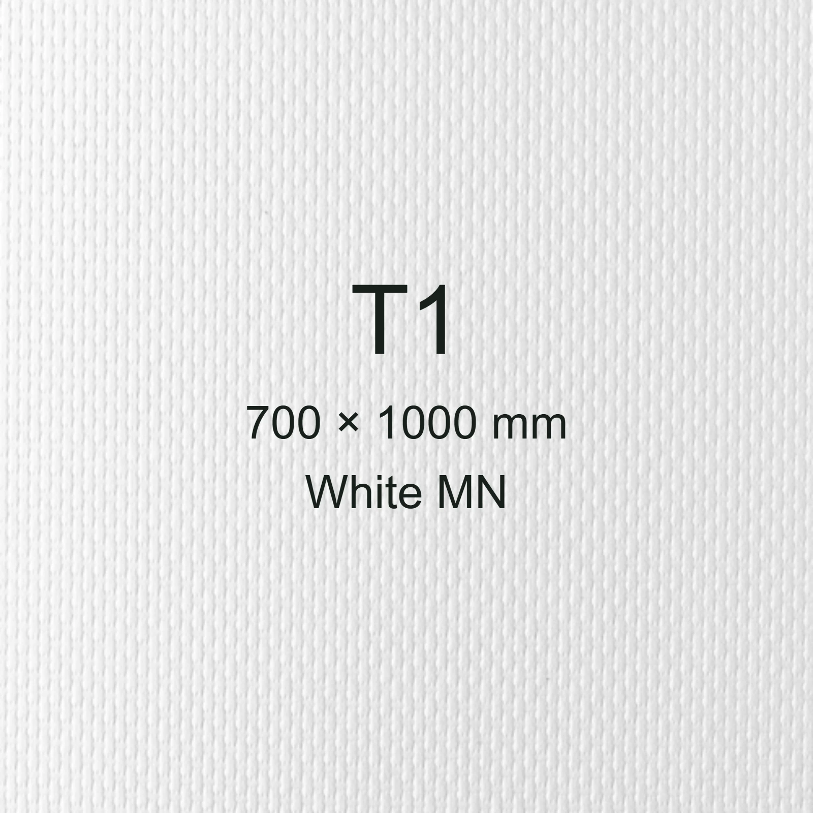 Cartoncino Favini, Classy Covers, 120 g/m², T1, WHITE MN bra6616t1 - immagine aggiuntiva