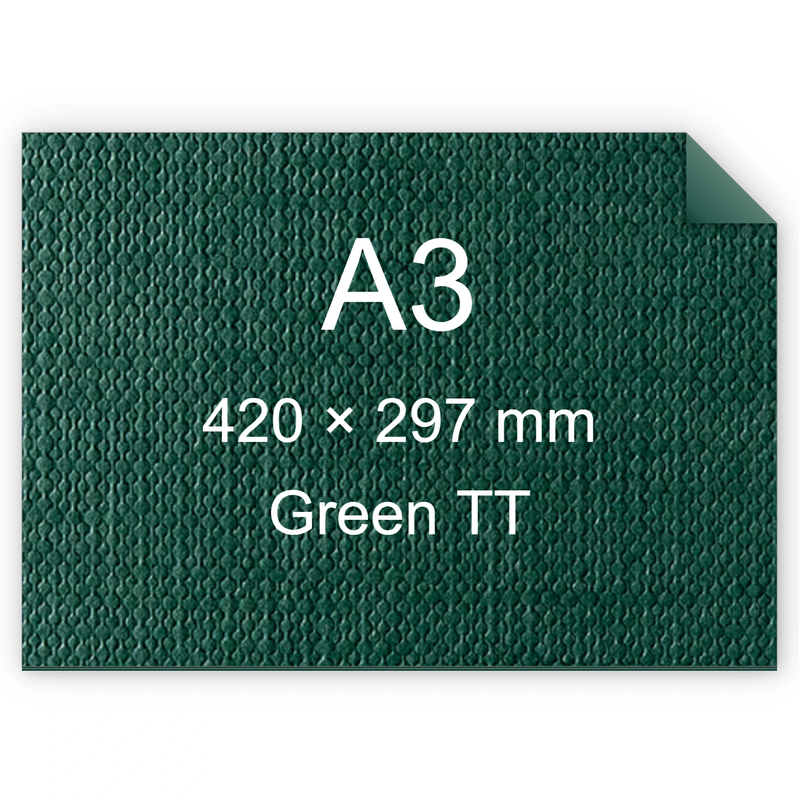 Cartoncino Favini, Classy Covers, 120 g/m², A3, GREEN TT bra6628a3