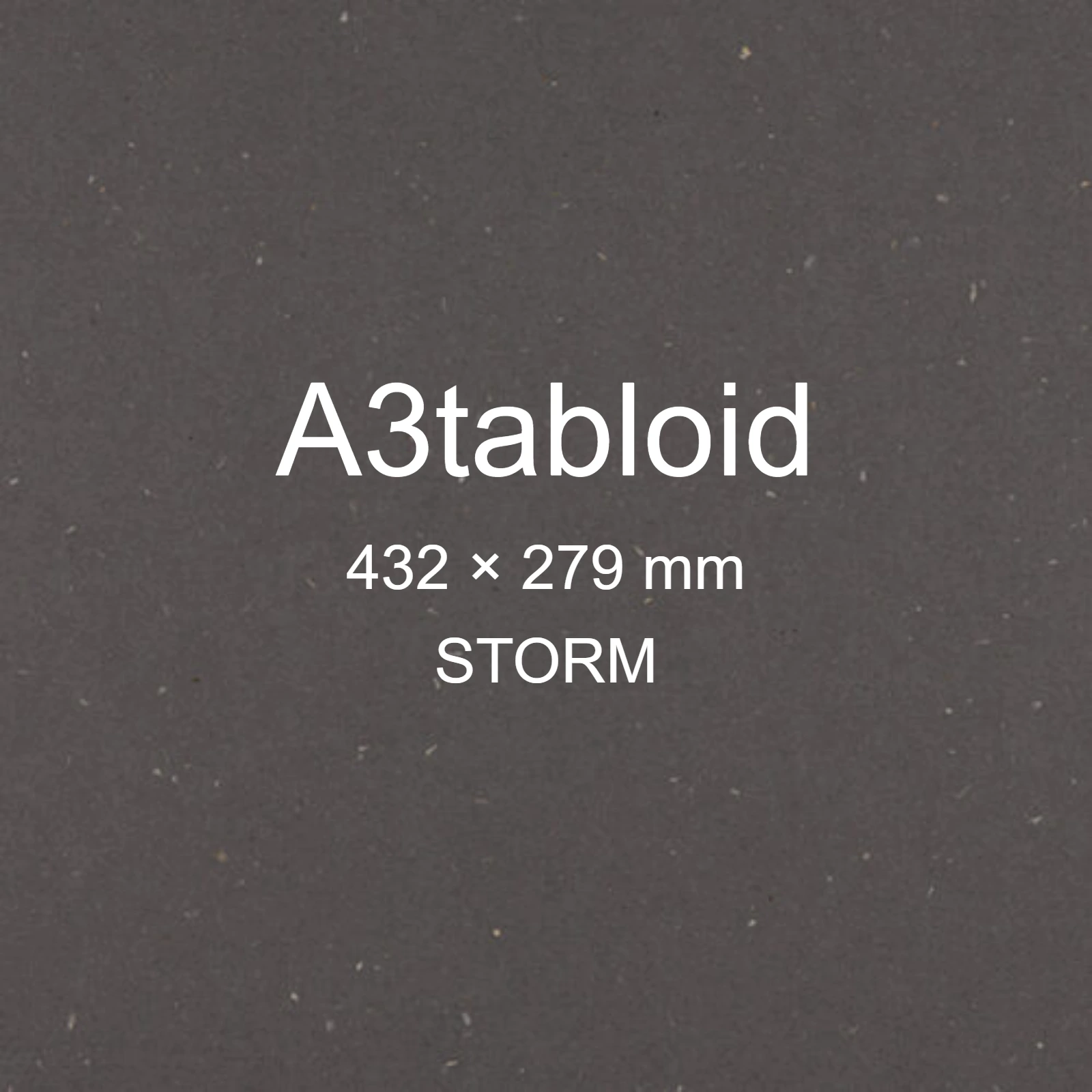 Cartoncino Favini, Sparto, 250 g/m², A3tabloid, STORM bra6563a3tabloid - immagine aggiuntiva