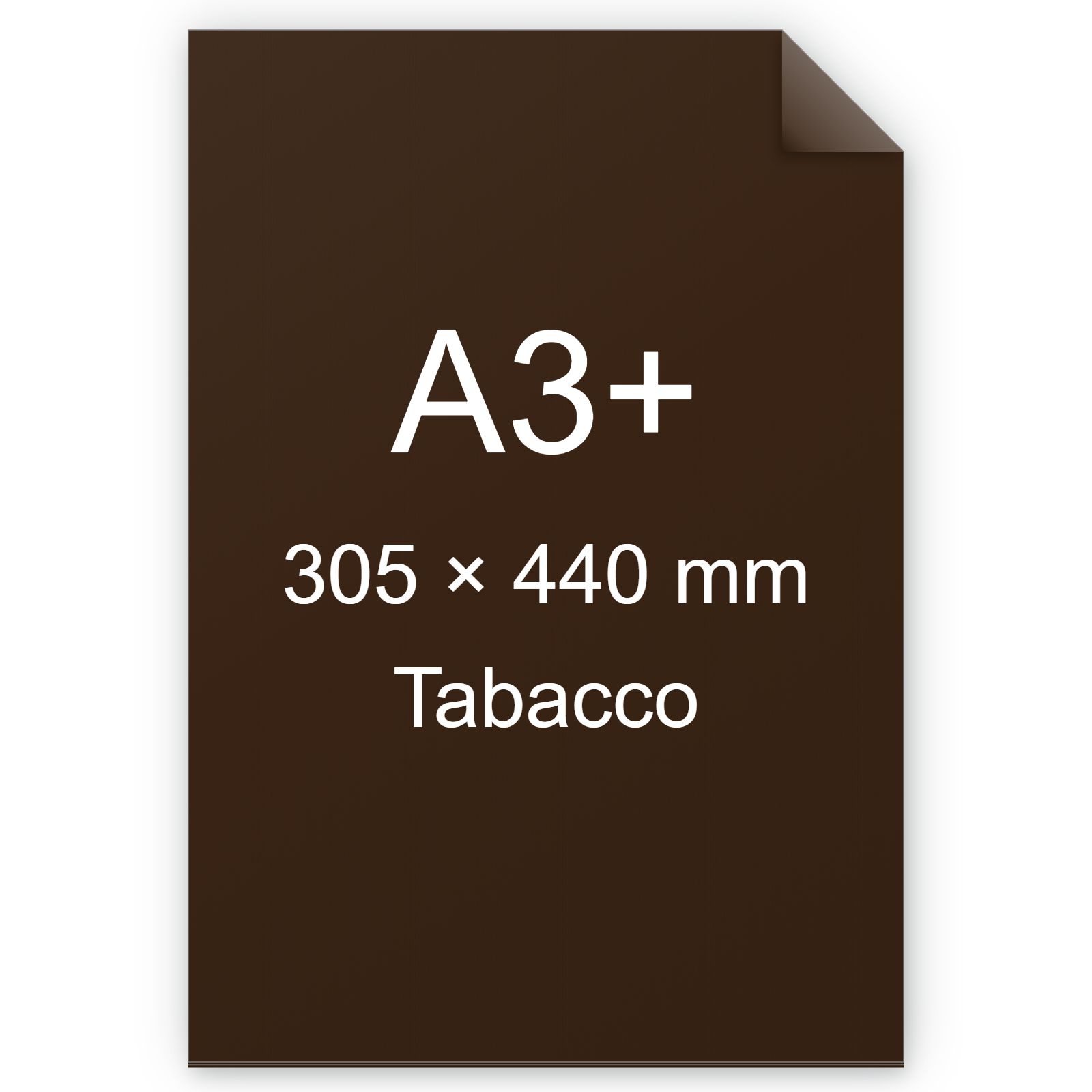 Cartoncino Favini, Burano, 200 g/m², A3+, TABACCO 75 BRA1808a3+