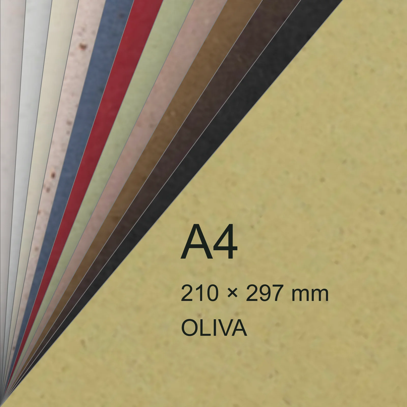 Cartoncino Favini, Crush, 120 g/m², A4, OLIVA bra6701 - immagine aggiuntiva