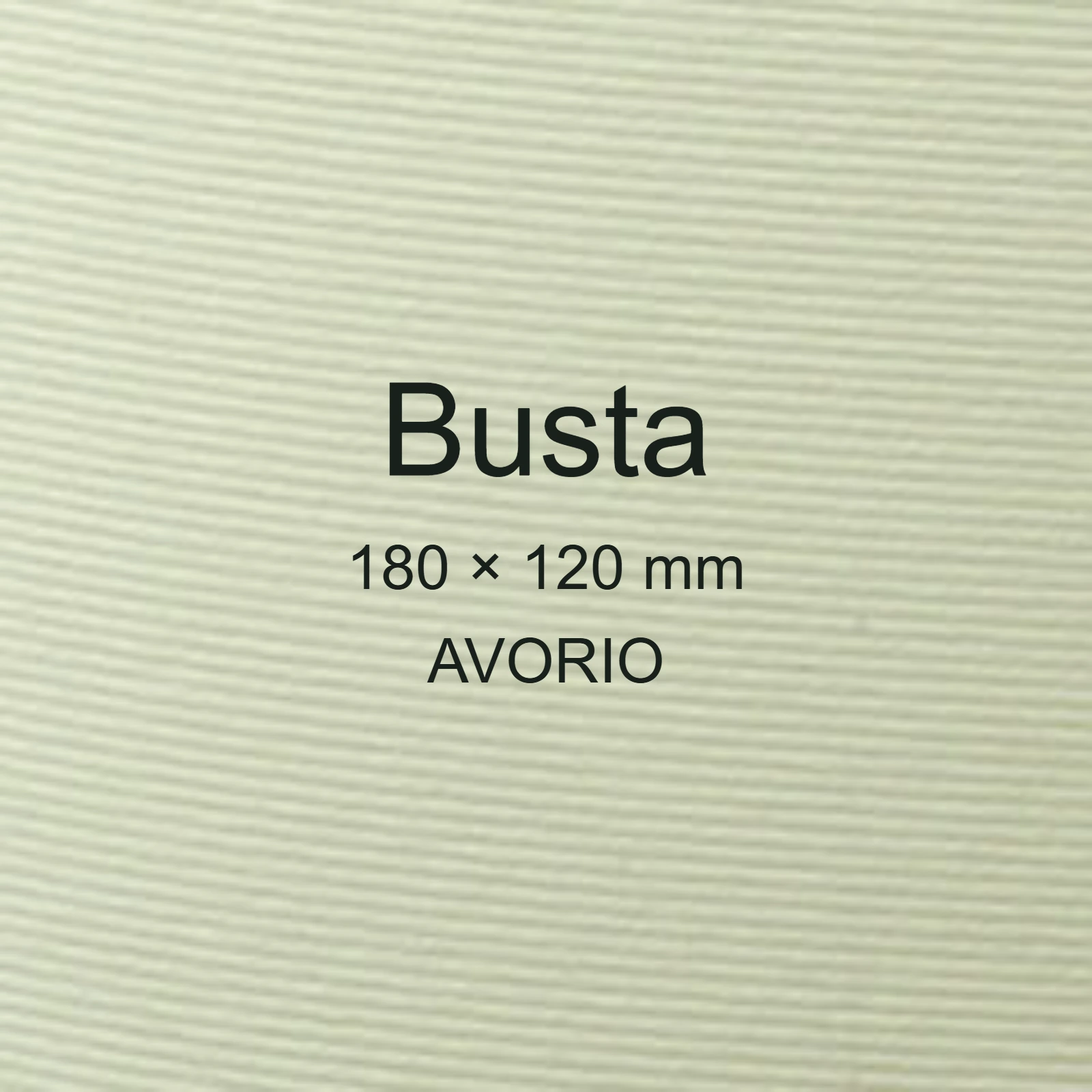 Buste Calligraphy Millerighe 100, AVORIO 02 FAVA57Q427 - immagine aggiuntiva