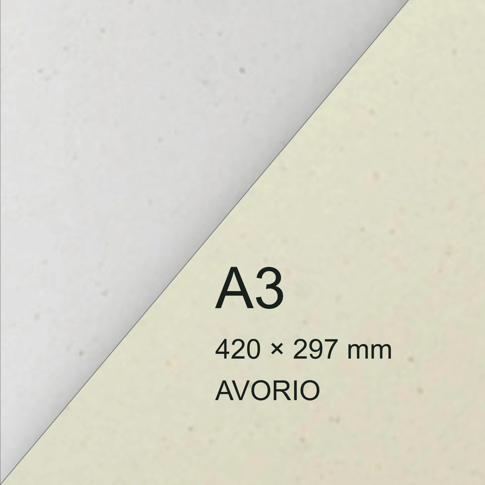 Cartoncino Favini, Shiro AlgaCarta, 350 g/m², A3, AVORIO bra500a3 - immagine aggiuntiva