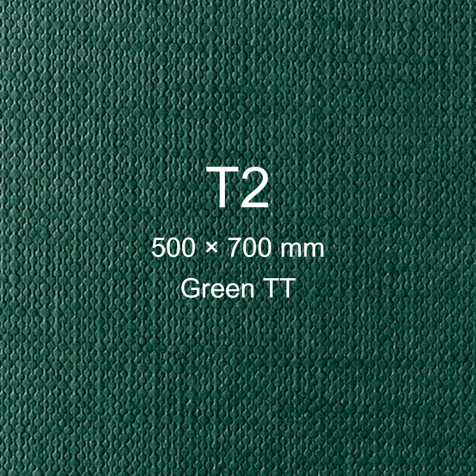 Cartoncino Favini, Classy Covers, 120 g/m², T2, GREEN TT bra6628t2 - immagine aggiuntiva