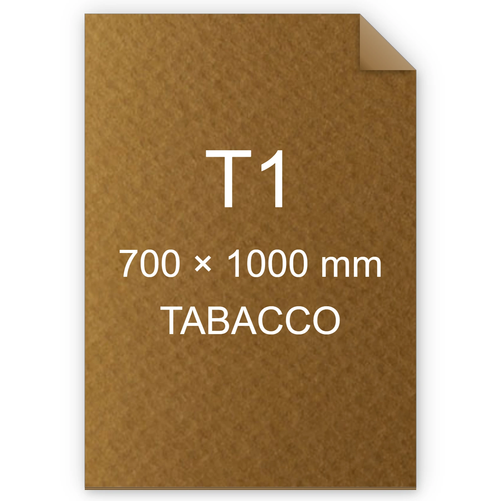 Cartoncino Favini, Prisma Color Sigillo Monoruvido, 220 g/m², T1, TABACCO 10 FAVA33H0A1