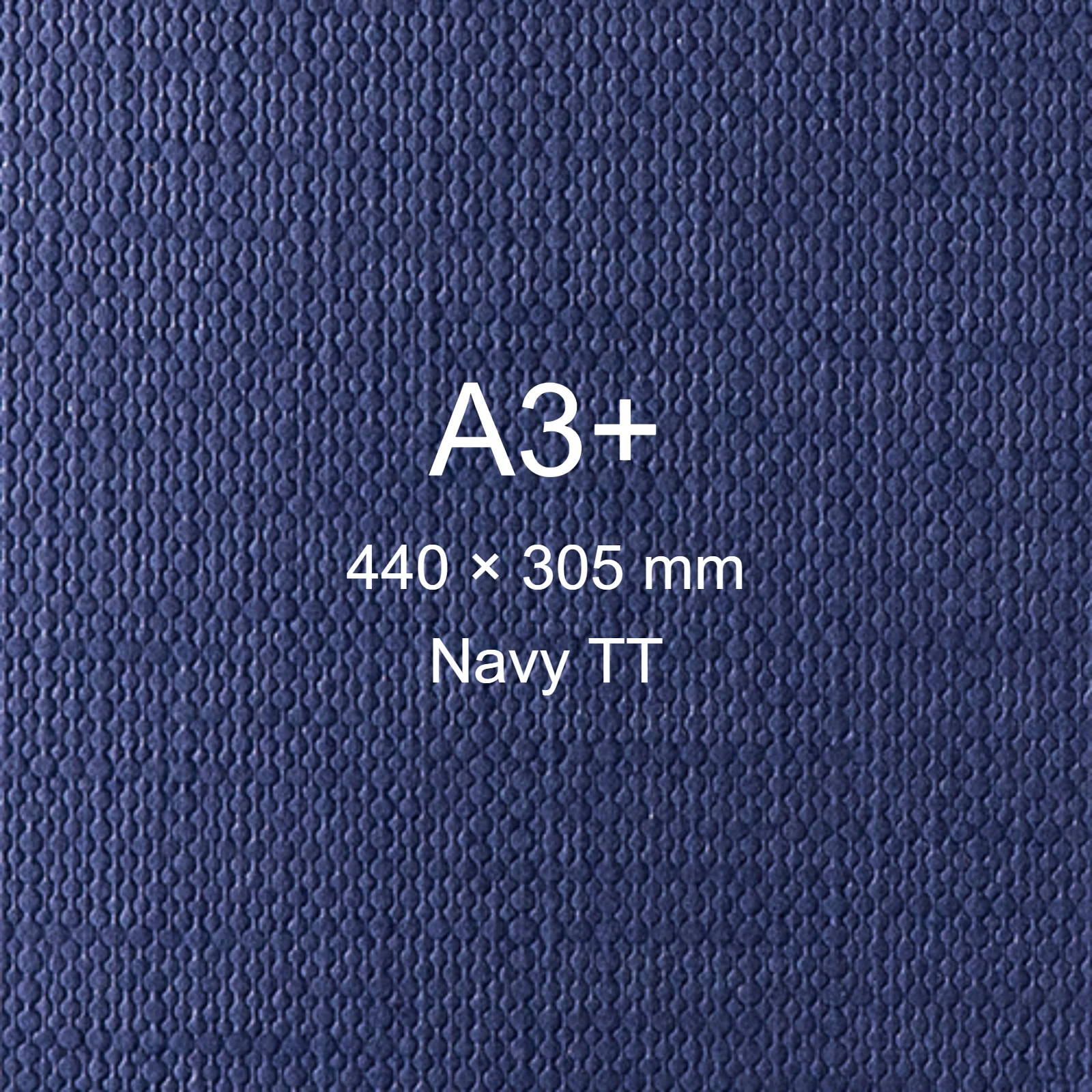 Cartoncino Favini, Classy Covers, 120 g/m², A3+, NAVY TT bra6626a3+ - immagine aggiuntiva