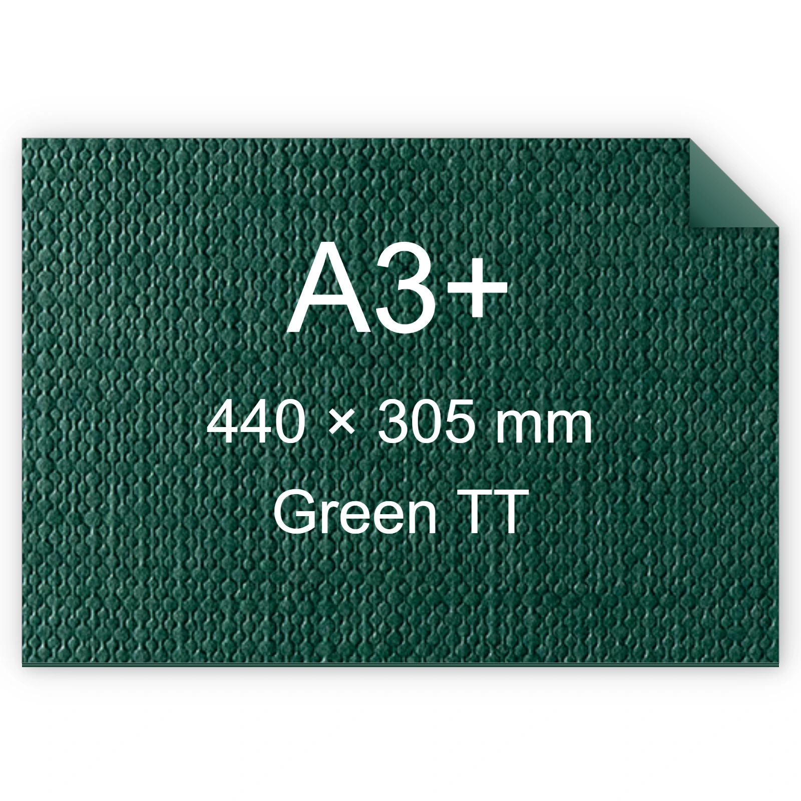 Cartoncino Favini, Classy Covers, 120 g/m², A3+, GREEN TT bra6628a3+