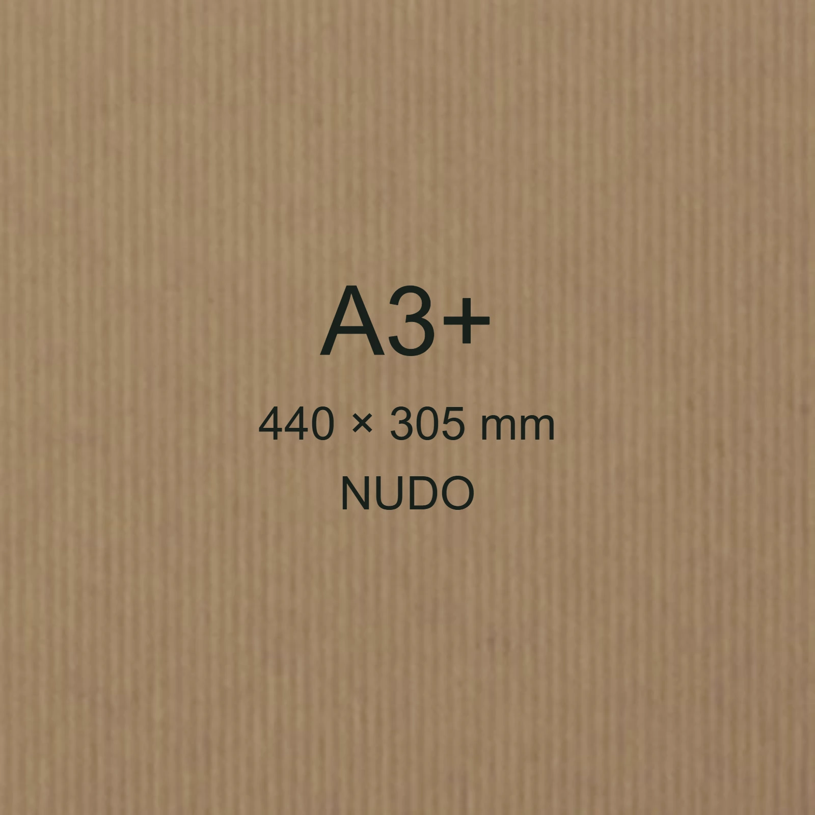 Cartoncino Favini, Twill, 240 g/m², A3+, NUDO bra6676a3+ - immagine aggiuntiva
