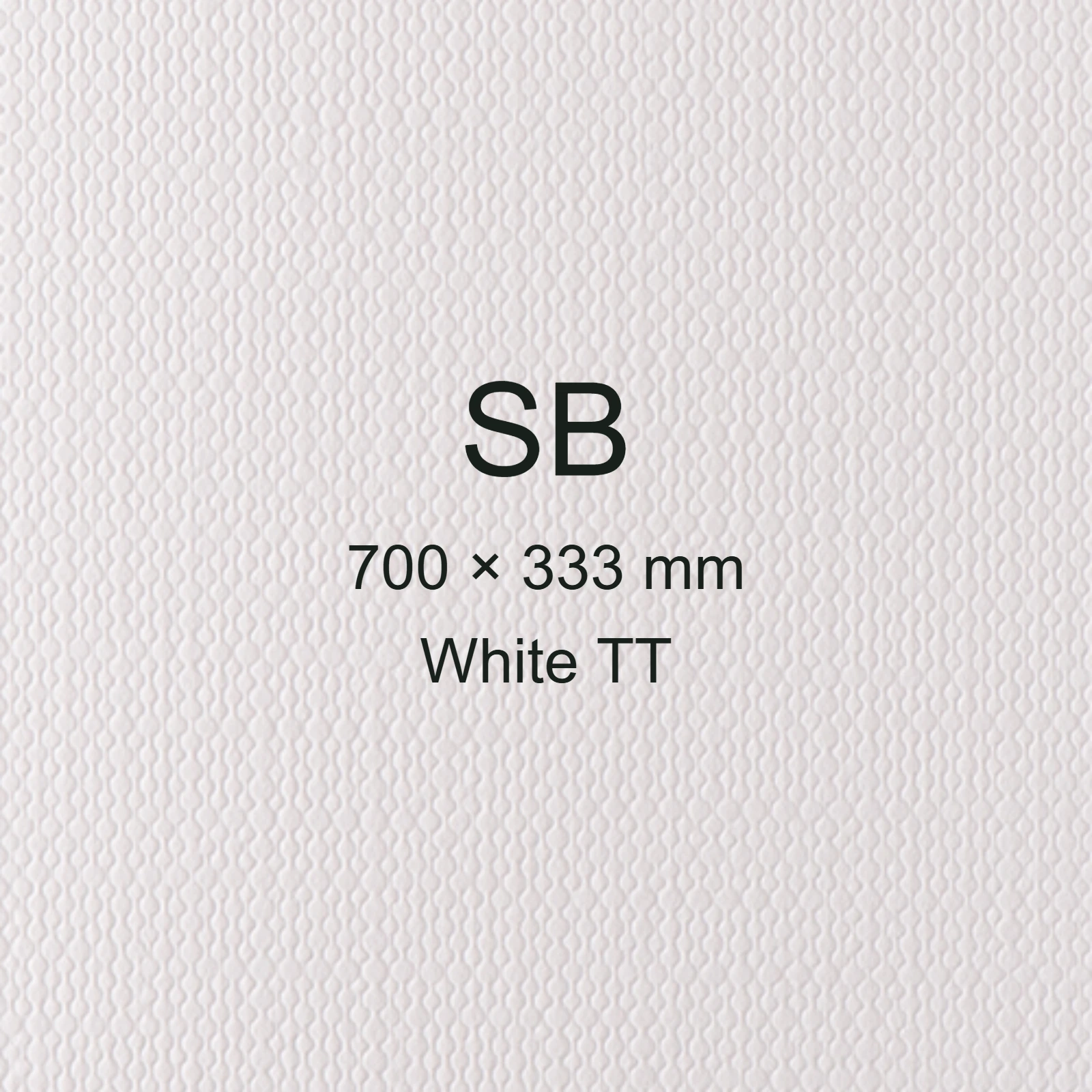 Cartoncino Favini, Classy Covers, 120 g/m², SB, WHITE TT bra6615sb - immagine aggiuntiva