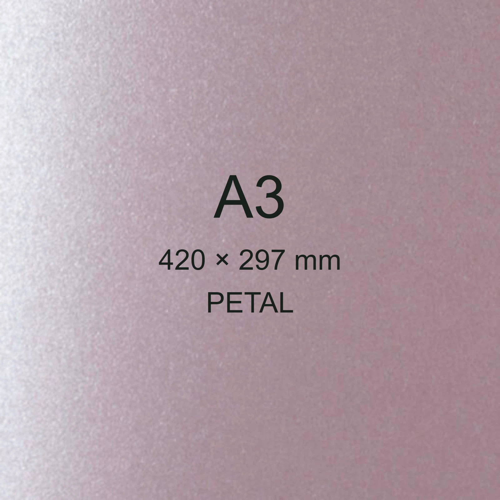 Cartoncino Favini, Majestic Classic, 290 g/m², A3, PETAL bra756a3 - immagine aggiuntiva