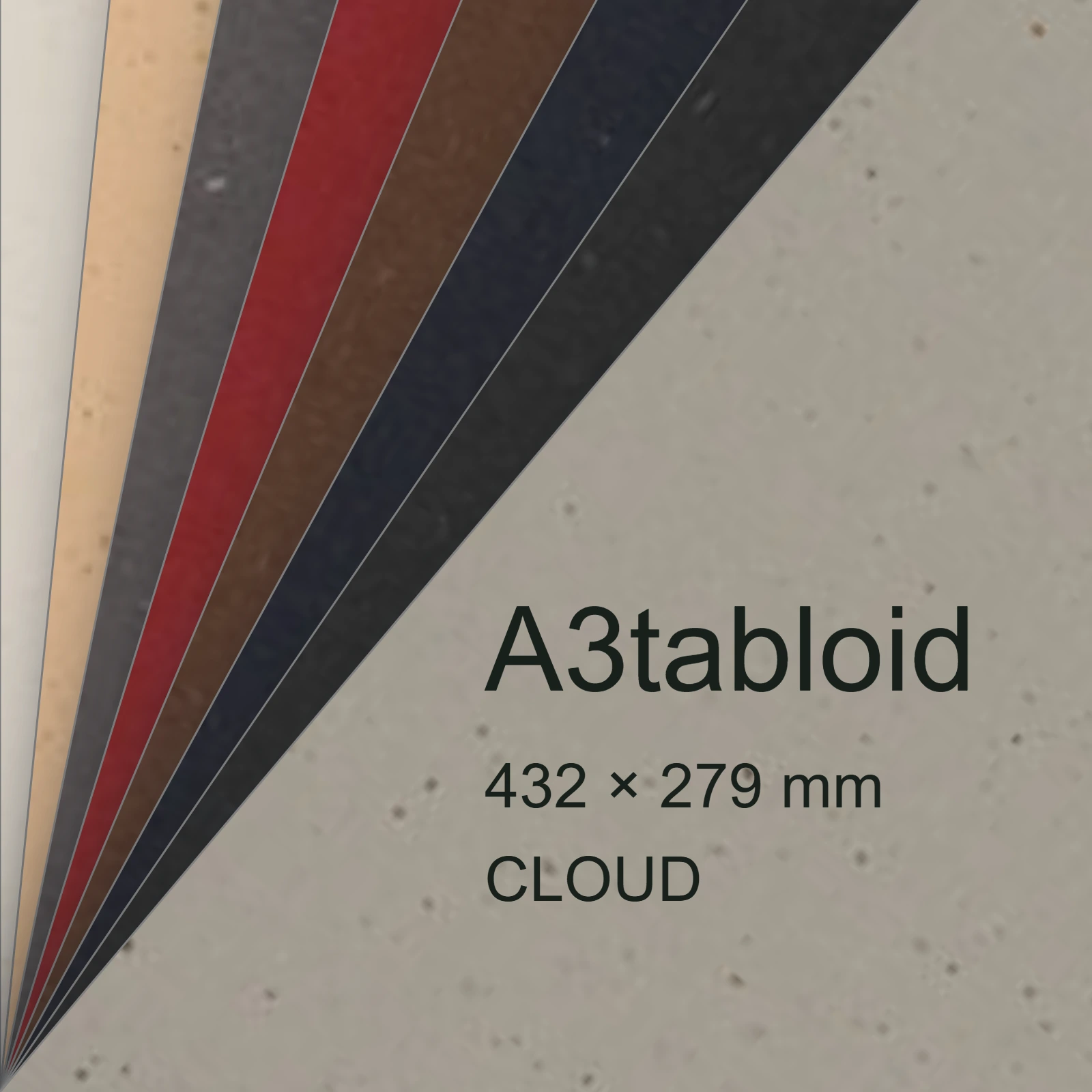 Cartoncino Favini, Sparto, 250 g/m², A3tabloid, CLOUD bra6560a3tabloid - immagine aggiuntiva