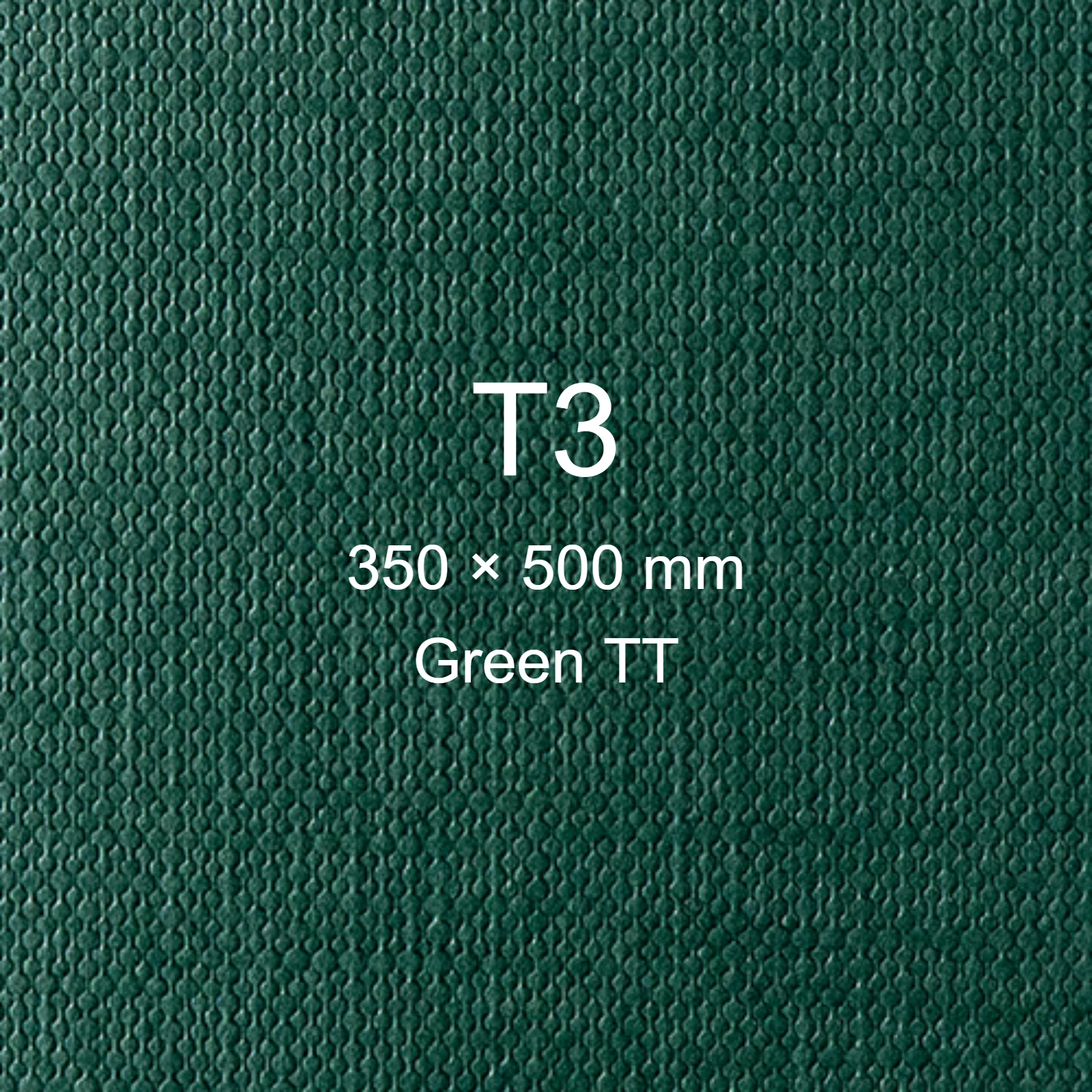 Cartoncino Favini, Classy Covers, 120 g/m², T3, GREEN TT bra6628t3 - immagine aggiuntiva
