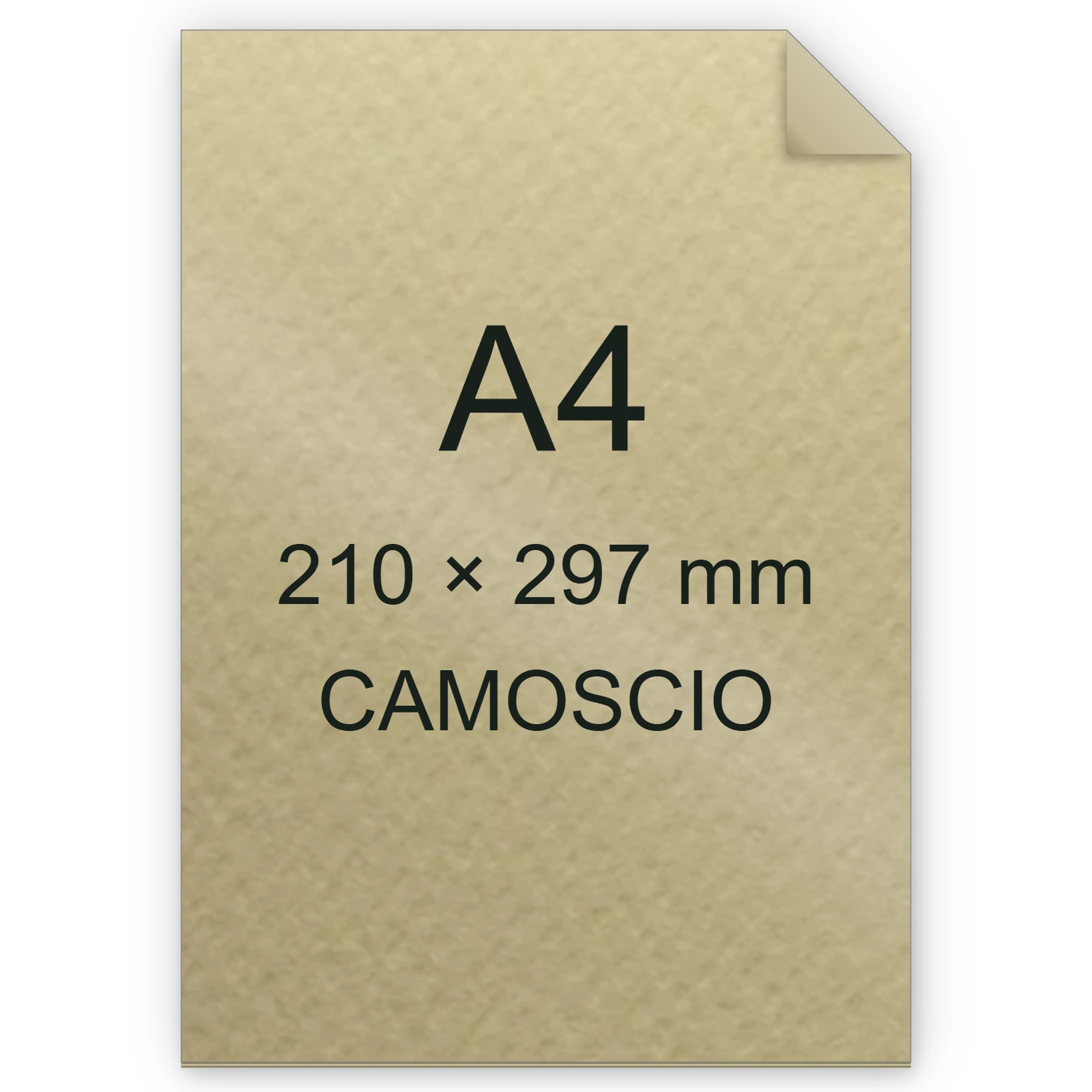 Cartoncino Favini, Prisma Plastificato, 250 g/m², A4, CAMOSCIO bra1319