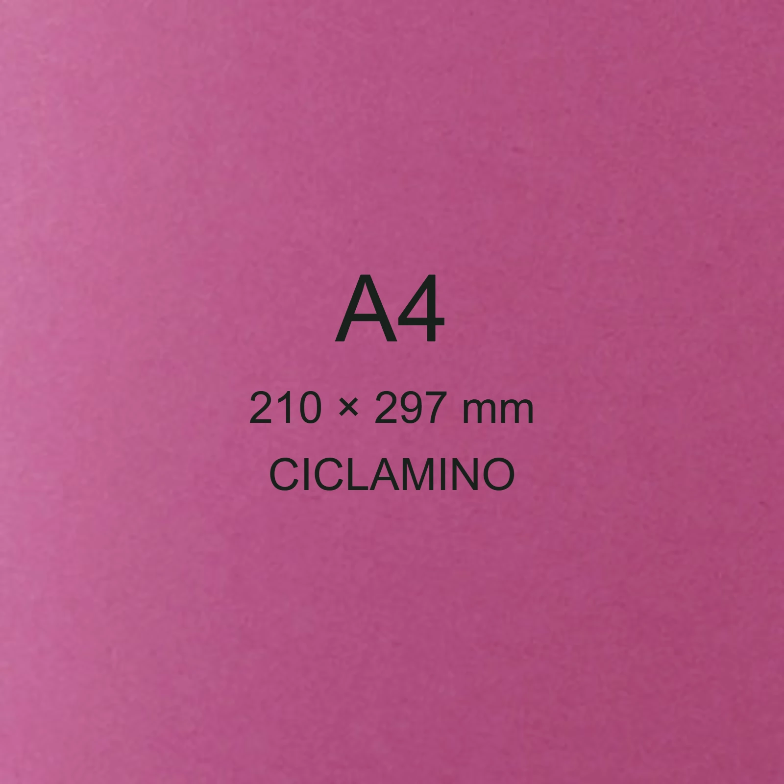 Cartoncino Favini, RismaLuce Small Collezioni, 200 g/m², A4, CICLAMINO 58 FAVA69F544 - immagine aggiuntiva