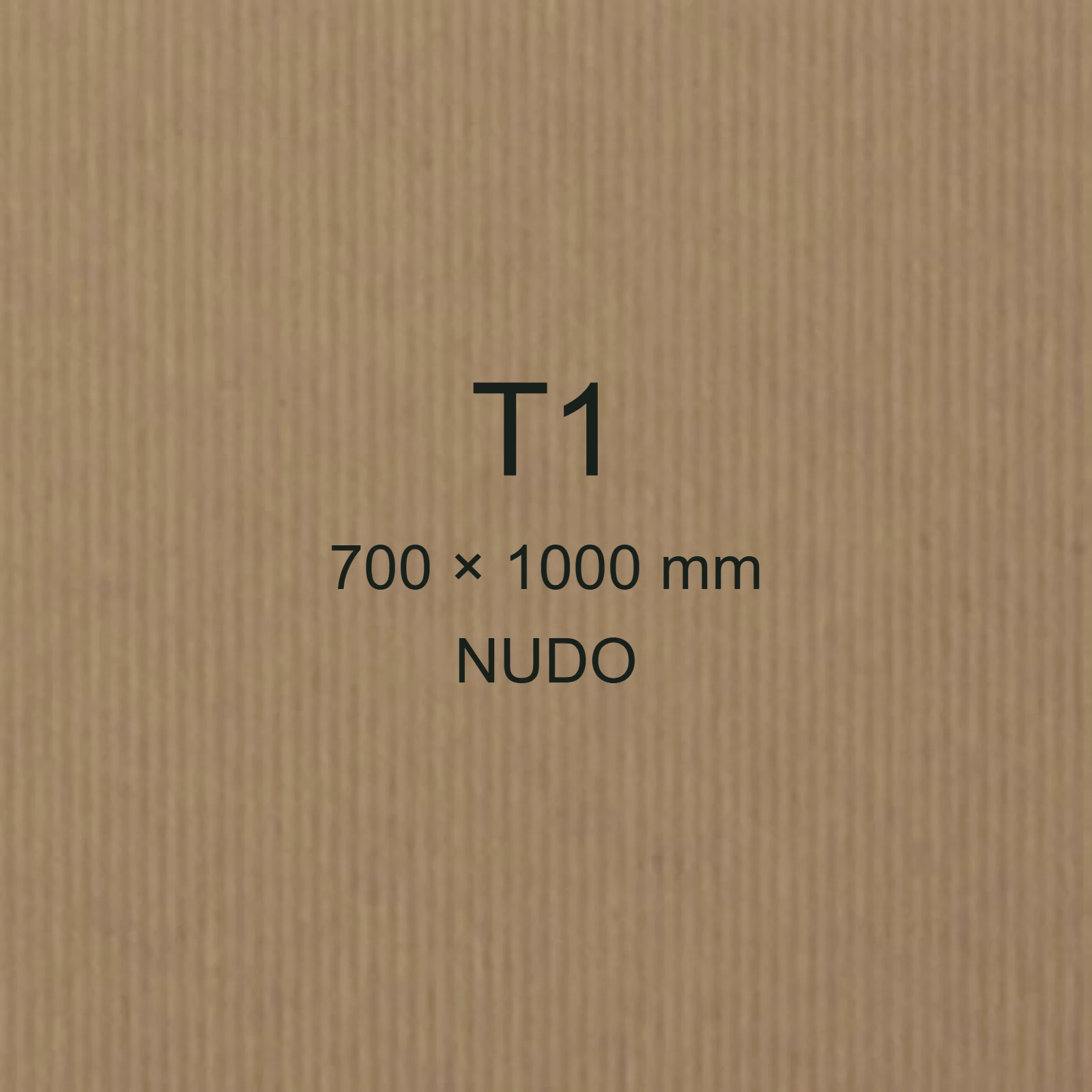 Cartoncino Favini, Twill, 240 g/m², T1, NUDO bra6676t1 - immagine aggiuntiva