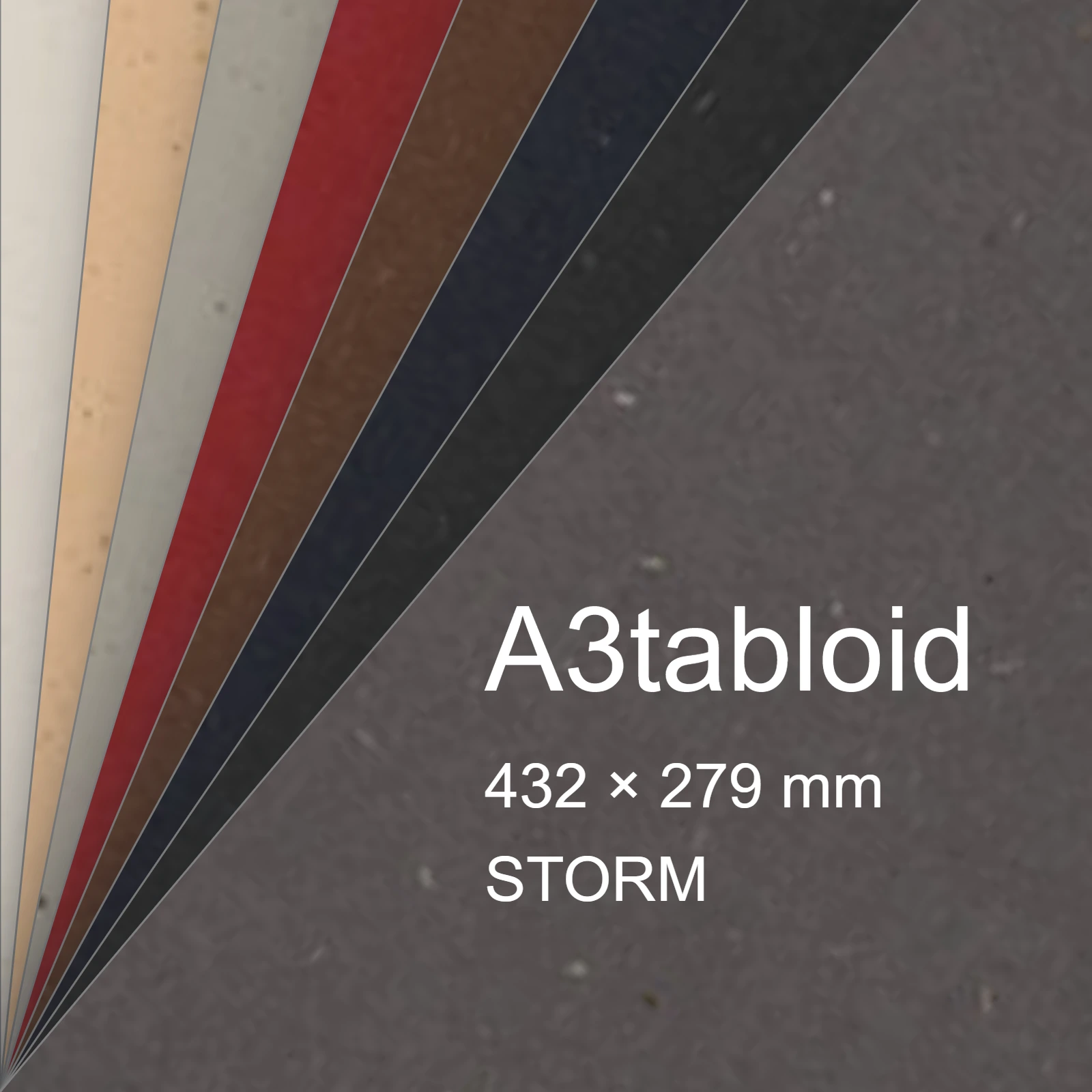 Cartoncino Favini, Sparto, 250 g/m², A3tabloid, STORM bra6563a3tabloid - immagine aggiuntiva