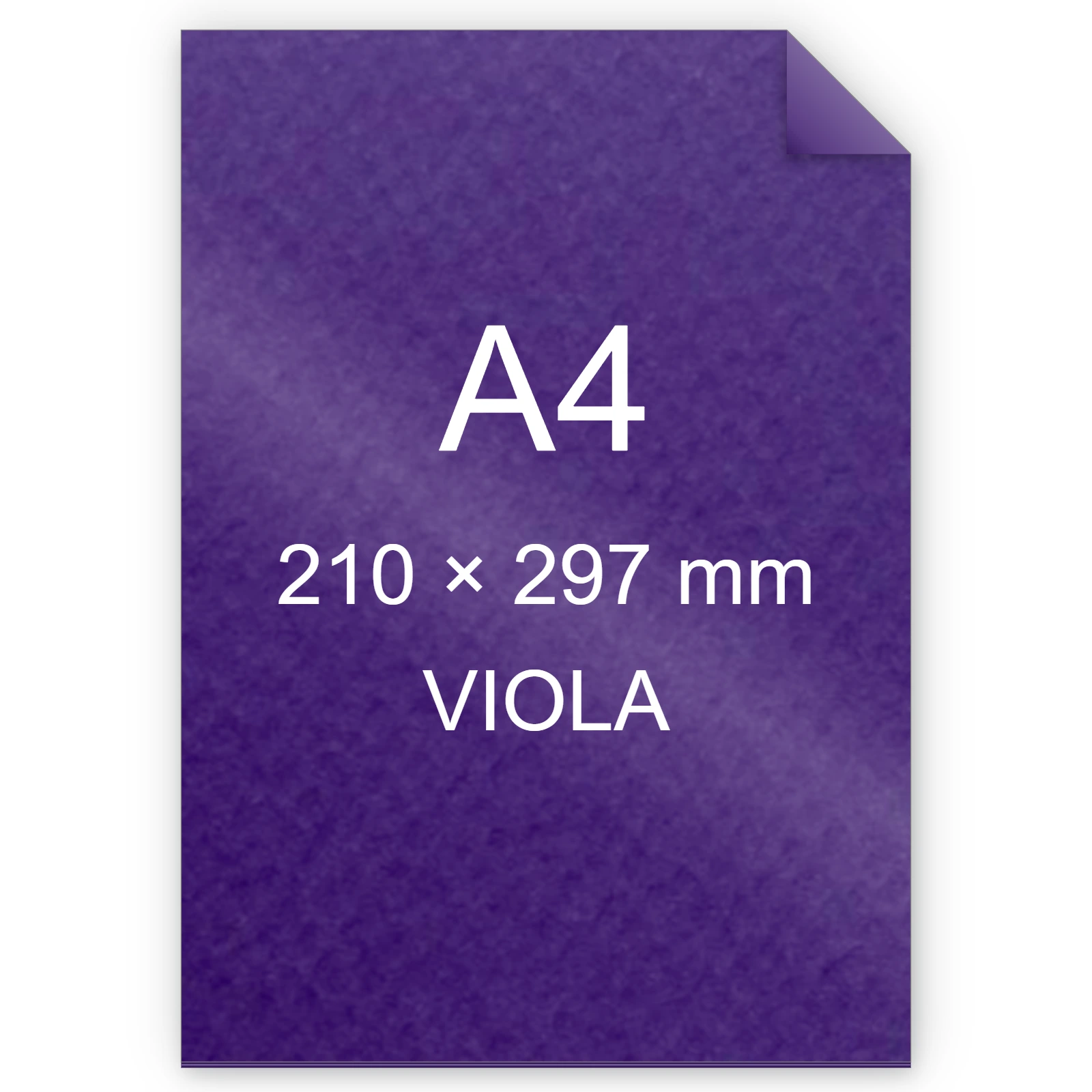 Cartoncino Favini, Prisma Plastificato, 250 g/m², A4, VIOLA bra1320
