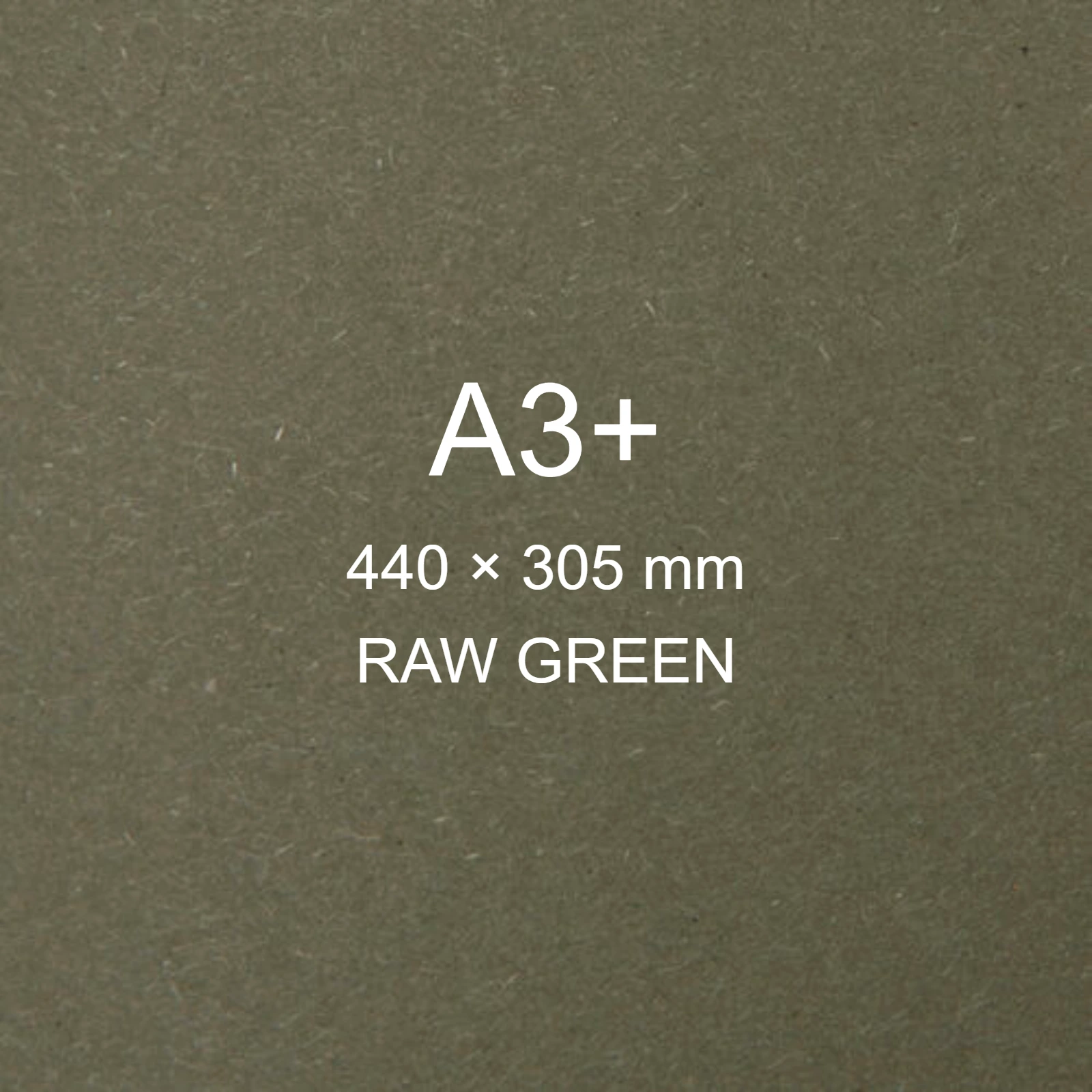 Cartoncino Favini, Shiro Echo Raw, 250 g/m², A3+, RAW GREEN bra6664a3+ - immagine aggiuntiva