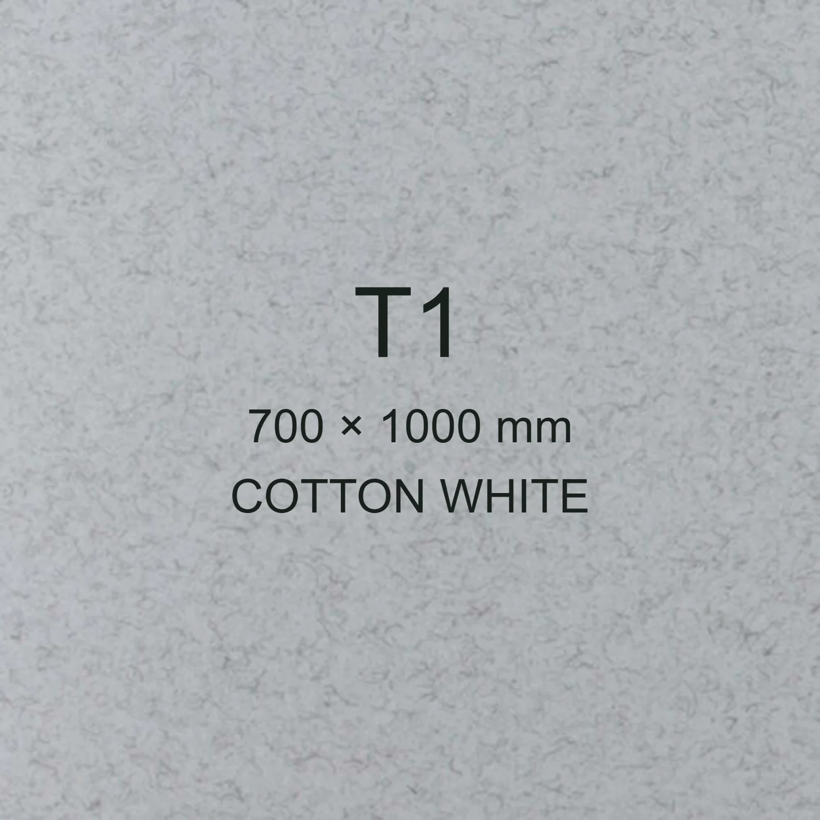 Cartoncino Favini, Refit, 120 g/m², T1, COTTON WHITE bra6727t1 - immagine aggiuntiva