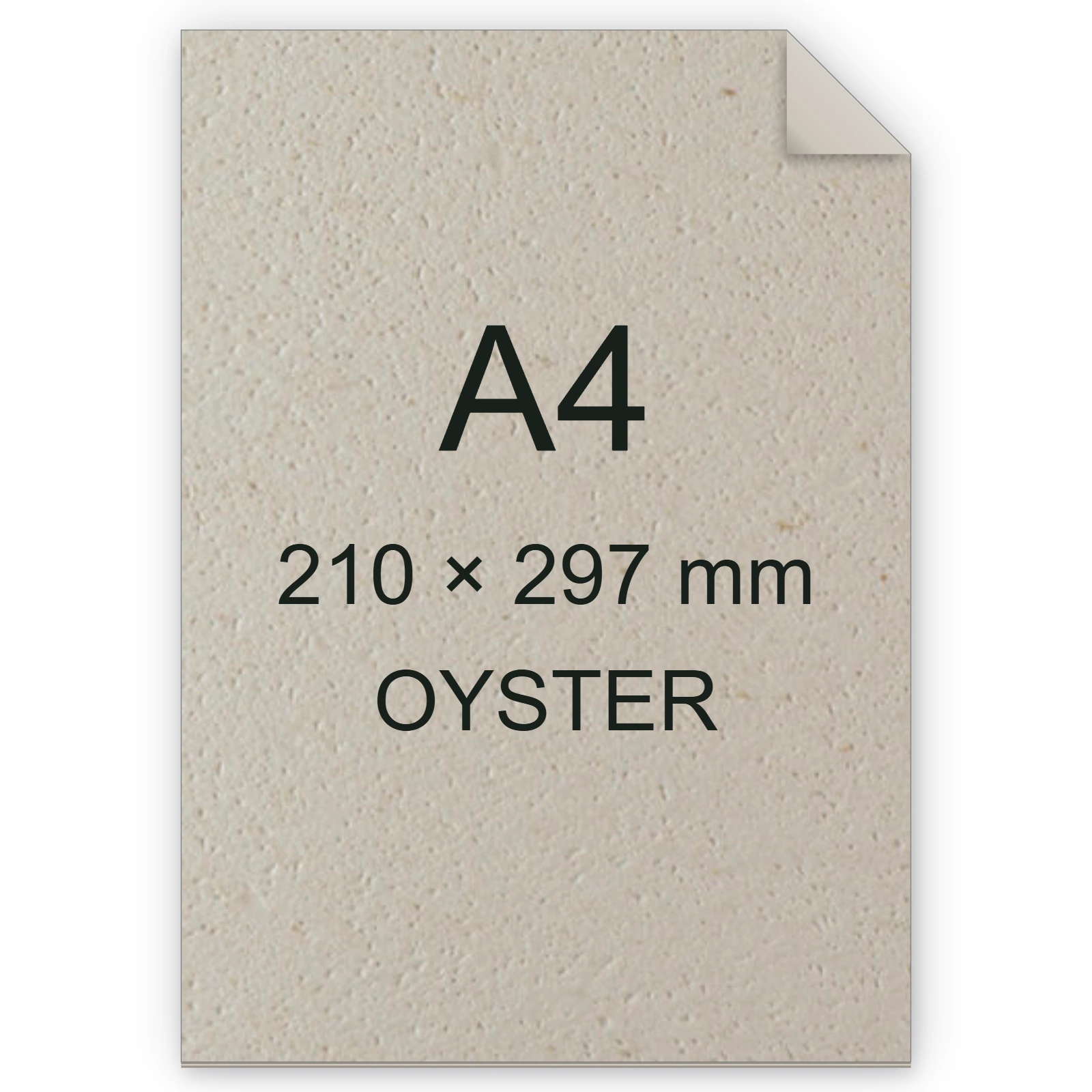Cartoncino Favini, Remake Carapace, 120 g/m², A4, OYSTER BRA120